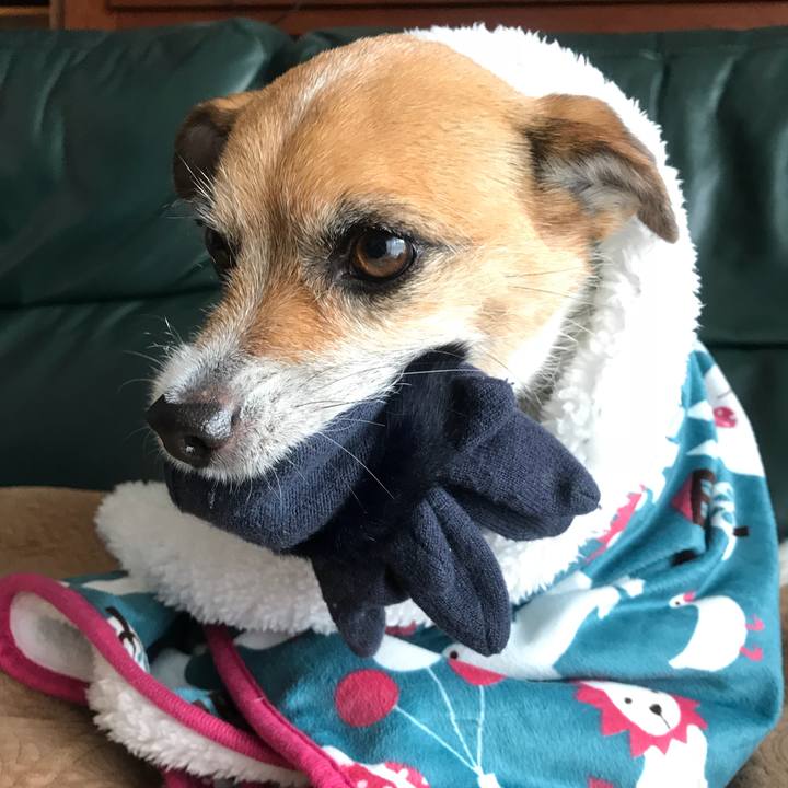 9c44c7c2 265f 4a8e 8592 51bf5d5008d5 1517269948451