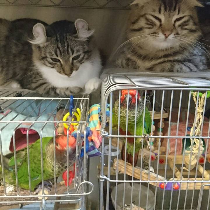 9c44d3fe 4bb3 45d0 a804 492d58d1f734 1513170143577