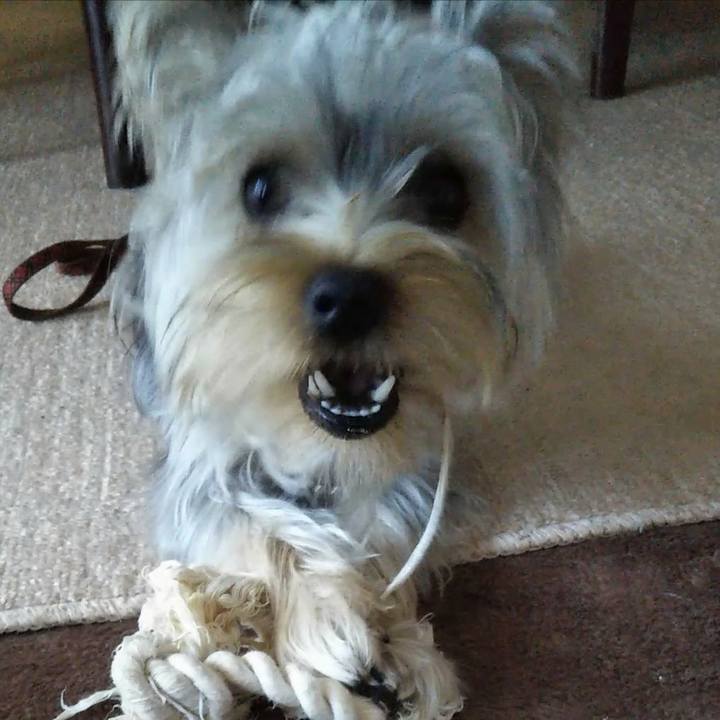 9c44d443 51f7 4a45 ab92 ae06046498bb 1543233253133