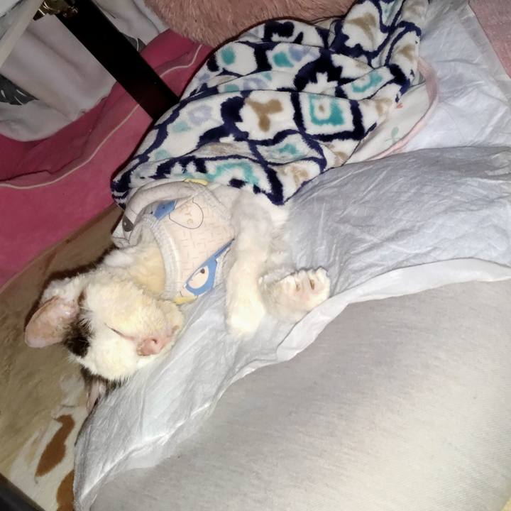 9c4503f7 a844 46d2 9c97 70149489471d 1614160773131