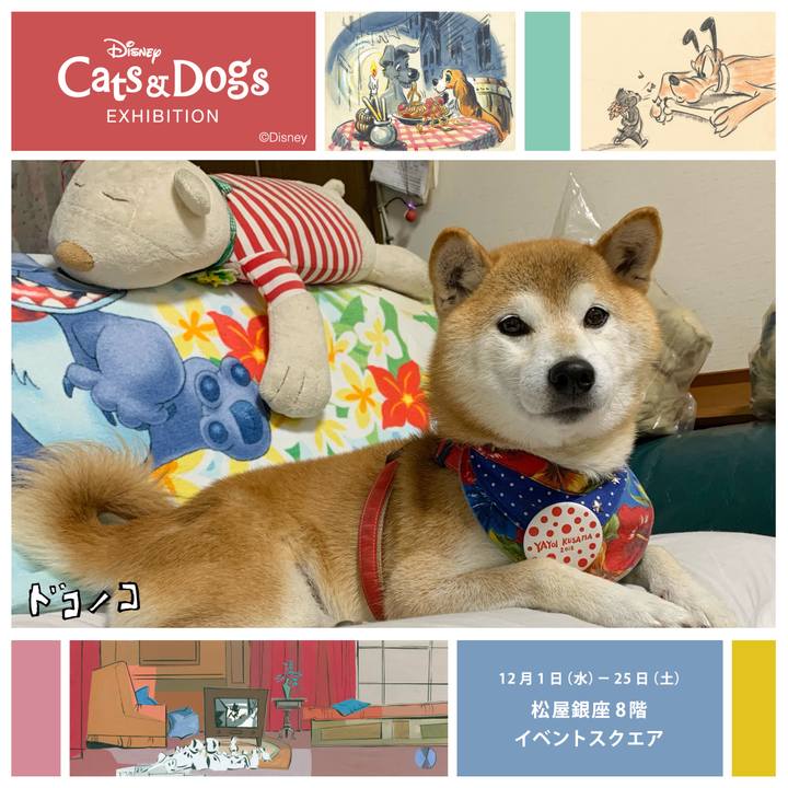 9c453aa2 d52e 4932 9242 285cafe77ad8 1638785628443