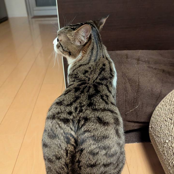 9c454c22 6df6 47f3 b518 1faf247c891b 1741517138290