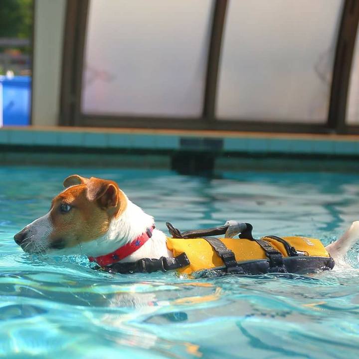 9c455a3f 8160 41a5 8bae 8766b35bfbf7 1536105592786