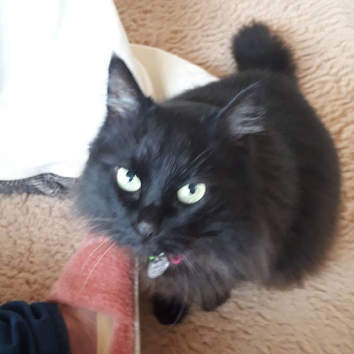 9c455edf 04ad 4602 bc6f 9d48ae97471b 1523240343703