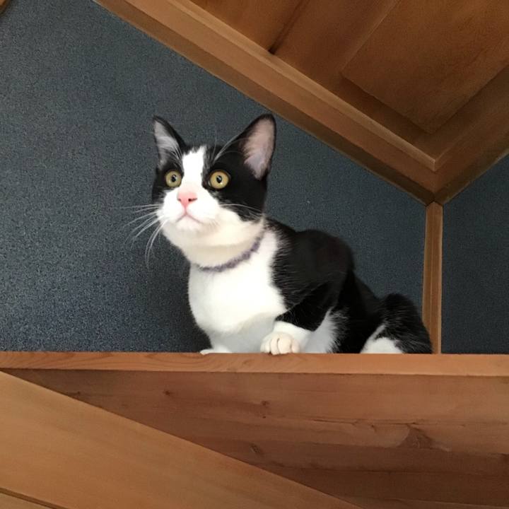 9c457213 8685 482b a1fa cc81d4c475b8 1636972743719