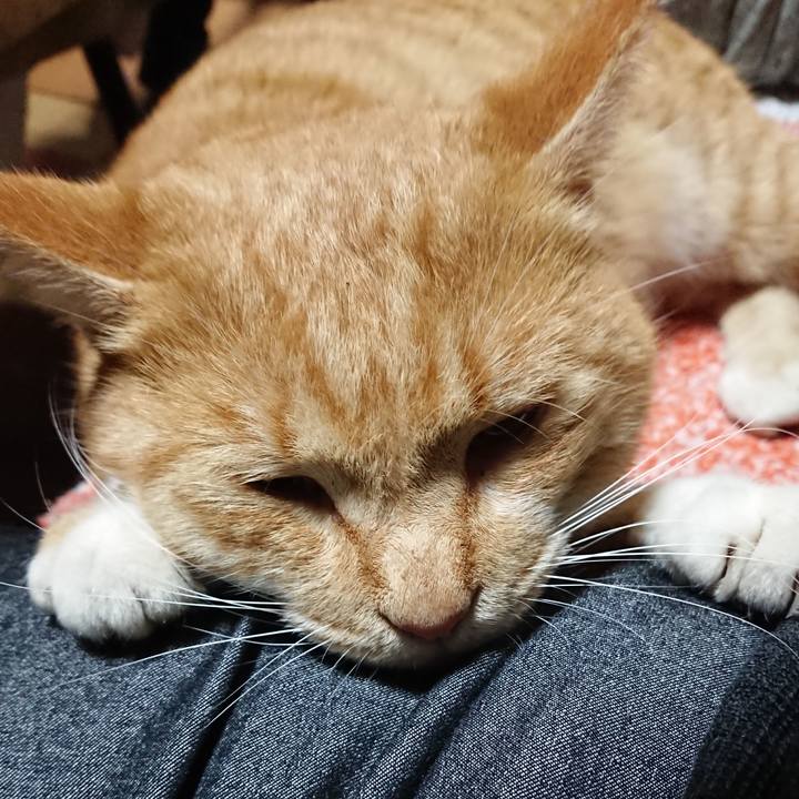 9c458f89 13b9 449c a4f5 8ffdb4214250 1574069763599