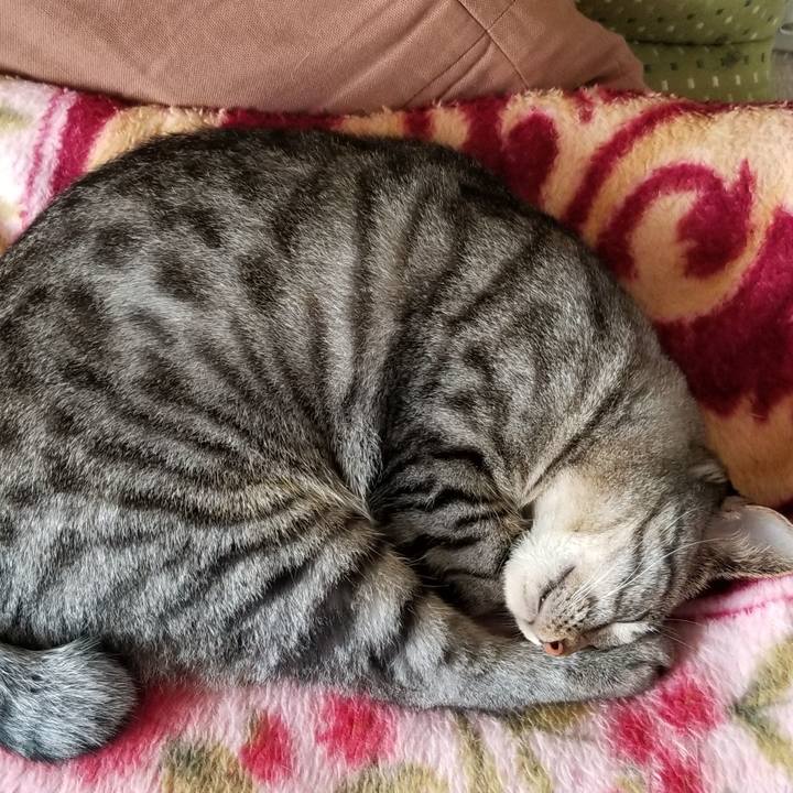 9c45d8ea 241d 48ec 8f05 723afeb69bc9 1689207761803