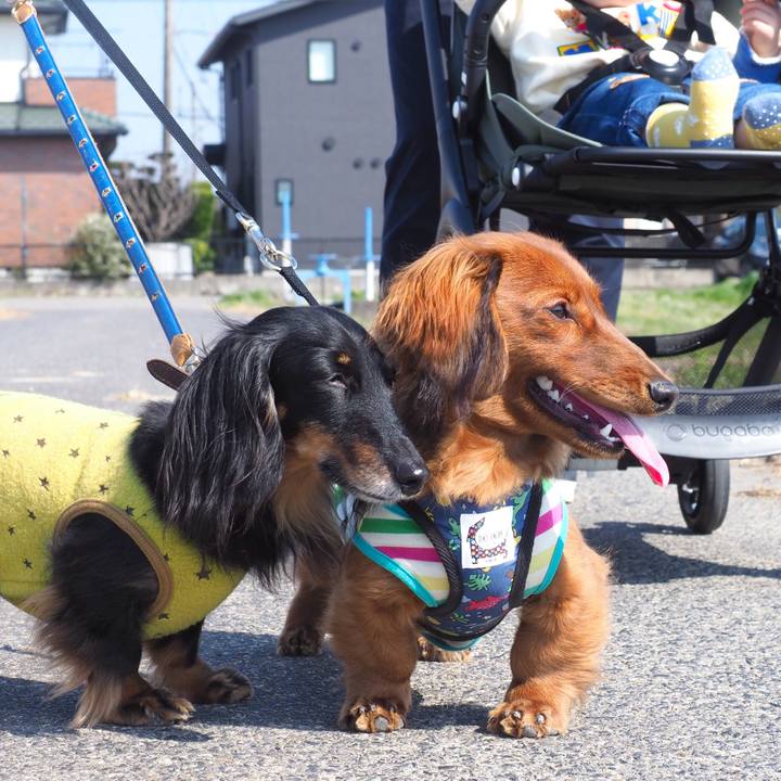 9c45e1b2 e883 45e5 bb6e f5261a5453ec 1710575098394