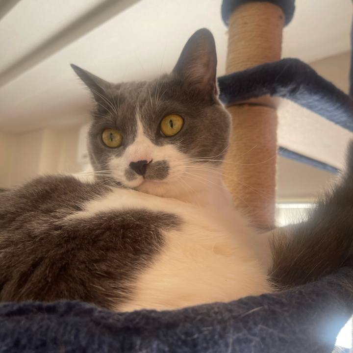 9c46145e a5b4 4575 ac24 72fb461e9708 1702168451068