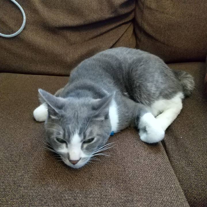 9c4635fe 078c 405c 8b88 e05f246d36a1 1617848959015