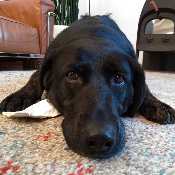 9c46426f d8f3 40d9 821e 120a4cbb2a9c 1577832330390