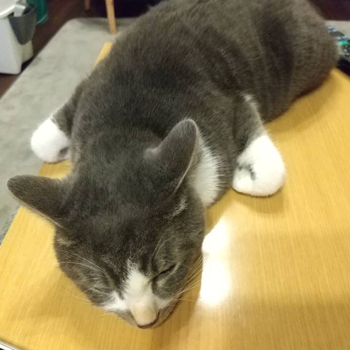 9c467589 8f40 4352 a912 d2b84a4d5873 1608676236303