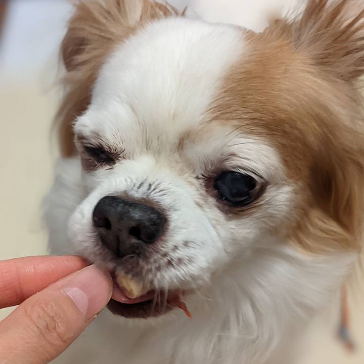 9c467778 84f3 45f1 a1a5 536cb5fa0a8e 1659794137074