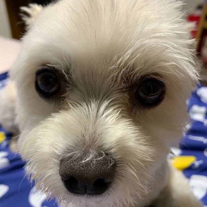 9c467e51 17fe 403d 9cce 5bf22c3cb3ea 1592050647824