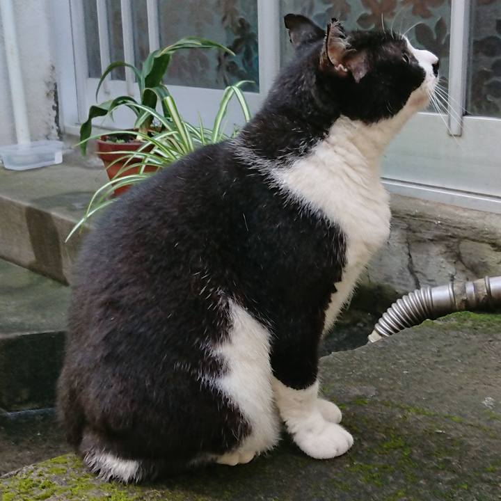 9c4686a8 bc5a 4dc0 9325 851f0d0a0f82 1572048991456