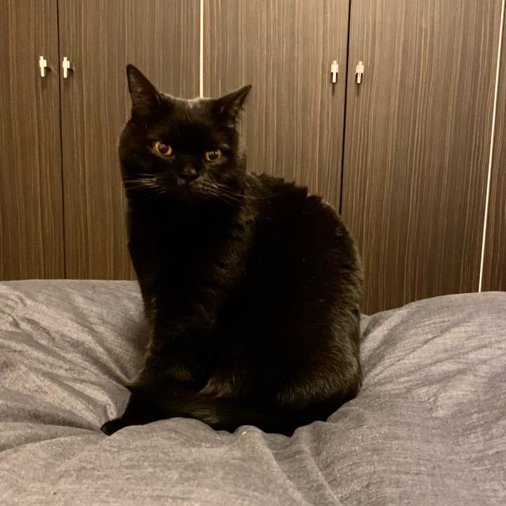 9c468b64 36dd 4e5c 9ce8 dfdeb95e446a 1704892222997