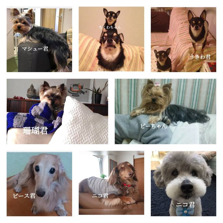 9c468c97 b060 46c2 8d65 8c815bee8dba 1643522008351