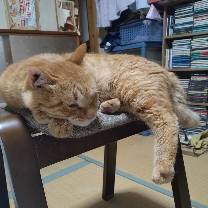 9c46bc62 8506 4219 bb2e f738526f08d0 1689078212608