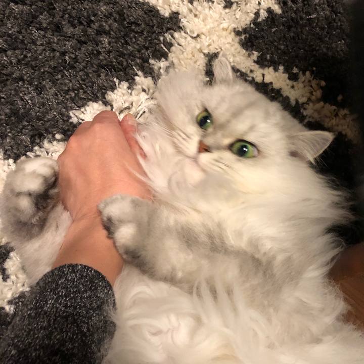 9c46c1c0 4a08 4292 90db 9865a697e41c 1576832662485