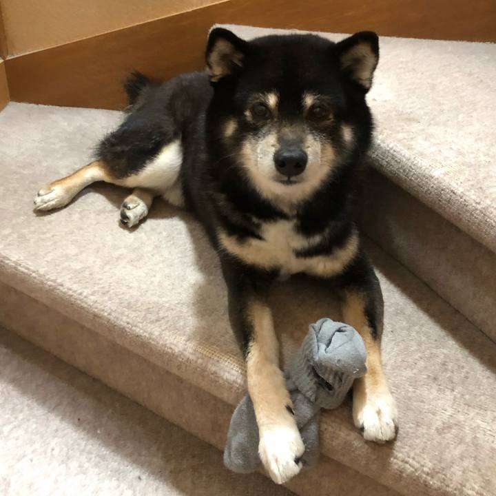 9c46db6d 9308 4897 9dcc c355699c80c0 1615889243581