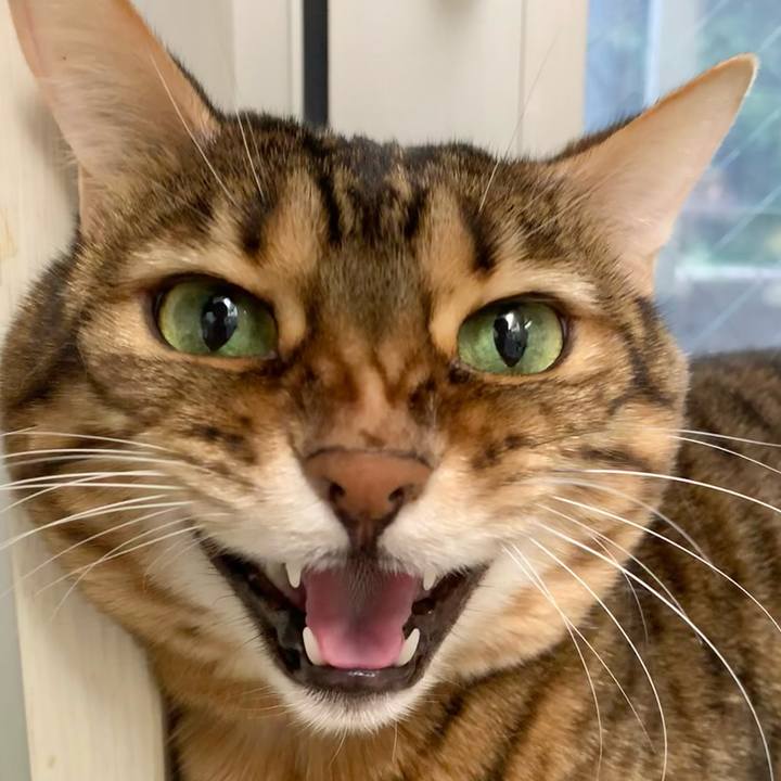 9c47245c 9fa8 4cc9 8522 27423c706638 1604711912073