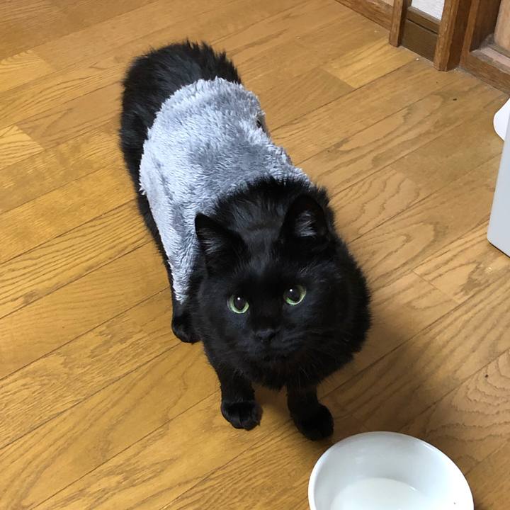 9c4731e5 4691 444e b1fb 66d428136795 1606402788336