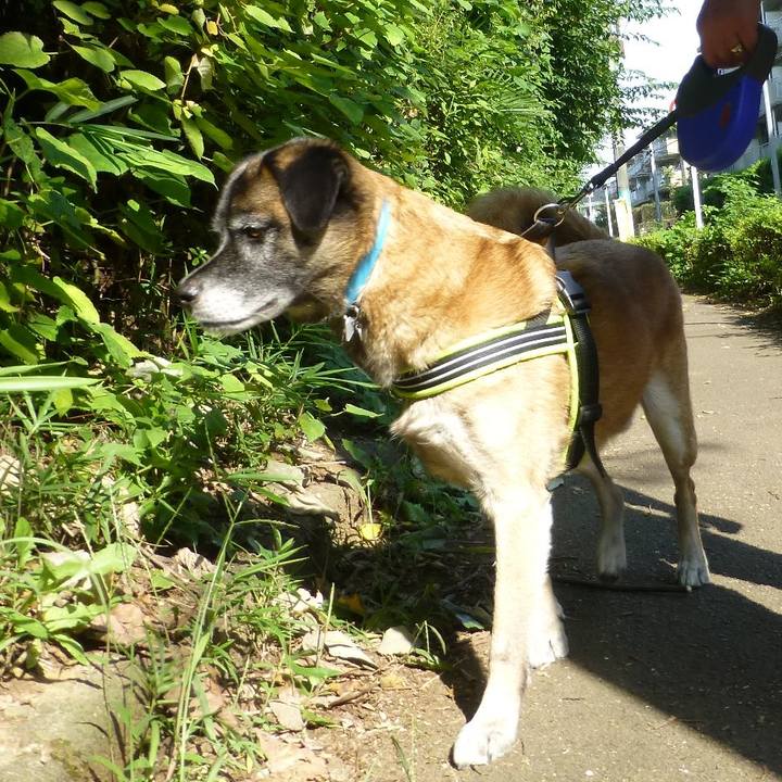 9c473a6f 451b 4629 95f0 1cffcebd83e5 1580691597582