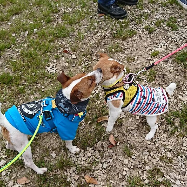 9c475ea3 147b 495a 8a74 a34651fa580a 1555841829395