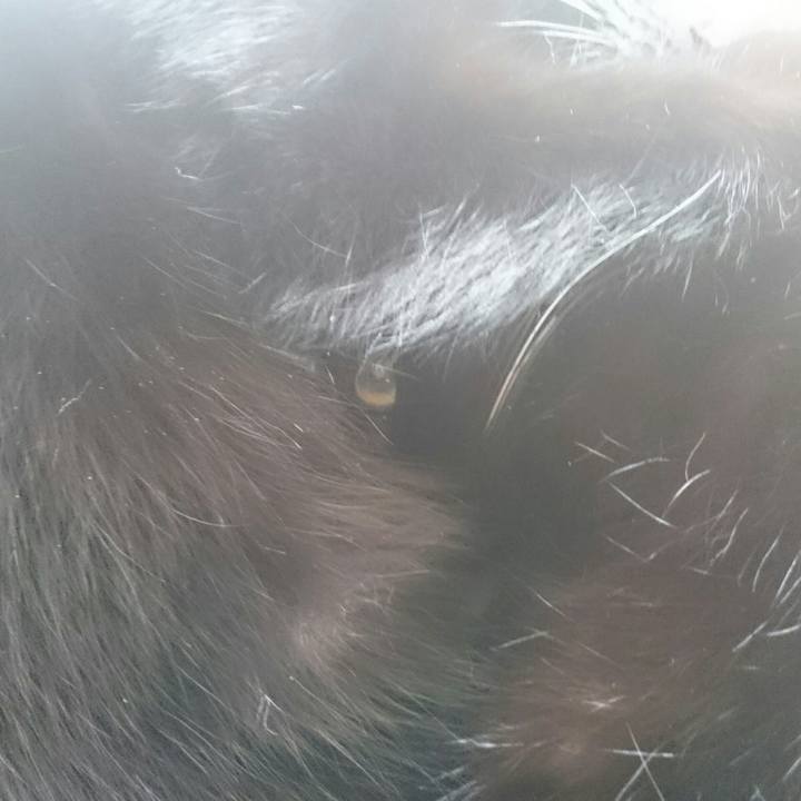 9c47c346 6490 4bdf ac00 9be50a0d5ea1 1518855717463