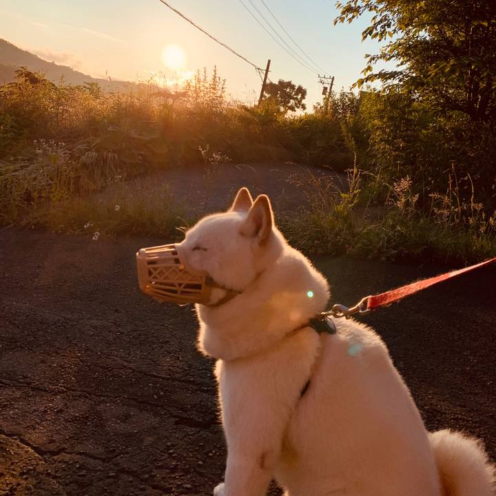 9c47cc6d 7f7d 4bb2 abf3 d90a1a8884db 1594240258445