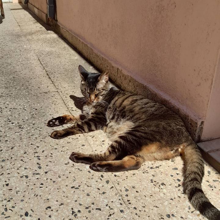 9c47f540 6206 4980 b933 87289a3172d1 1758074655731