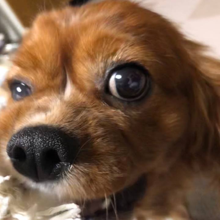 9c48643c 5137 4276 9925 8182dcfb0491 1598445325349