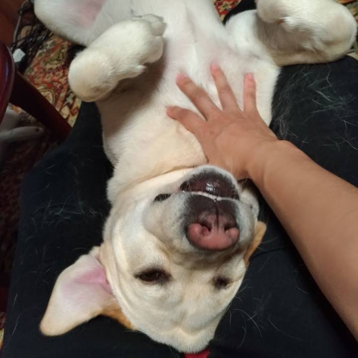 9c486501 7a0a 4bb1 afa9 4735e2223139 1595254824990