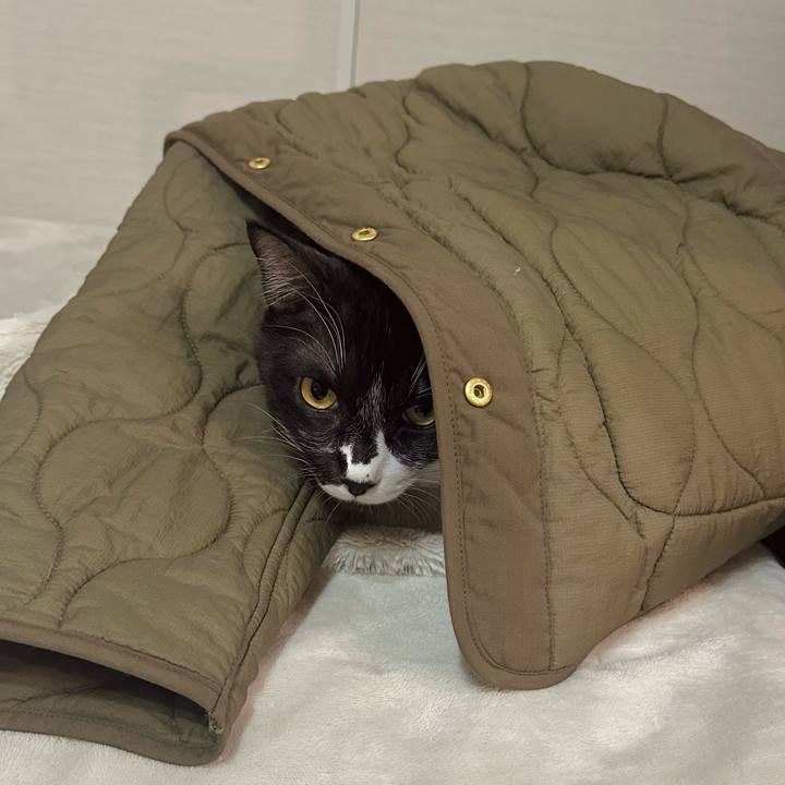 9c488e6a 1747 4a16 8511 eedc6b640861 1768474159463