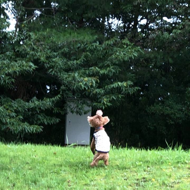 9c48cb71 6bf5 49a0 a4a1 2e2bb5877441 1568236988130