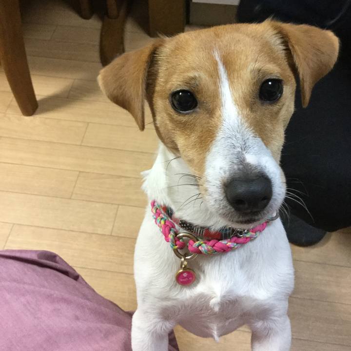 9c48d9e2 3226 4a96 8a65 6b6c34dab291 1514281758558