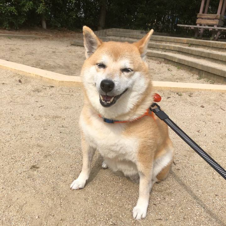 9c48f9cb 29ce 42da b52f f6f8e934c15b 1560857893335