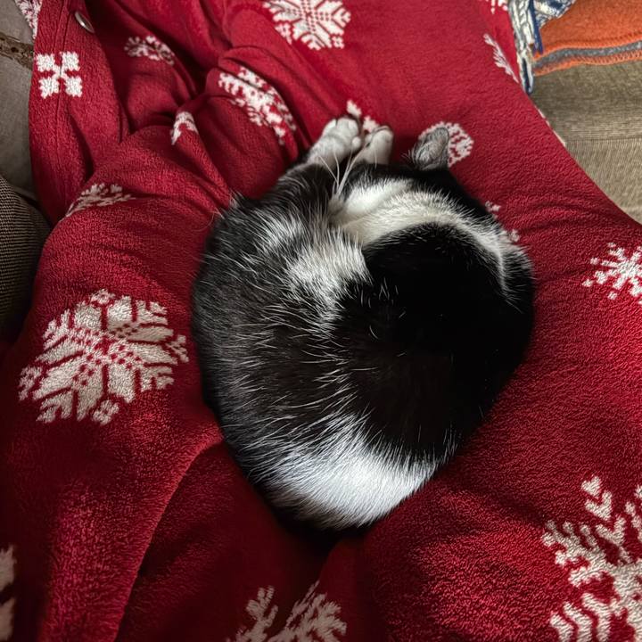 9c49065e 532e 4a2e b0b9 480135d19bf2 1763191207723