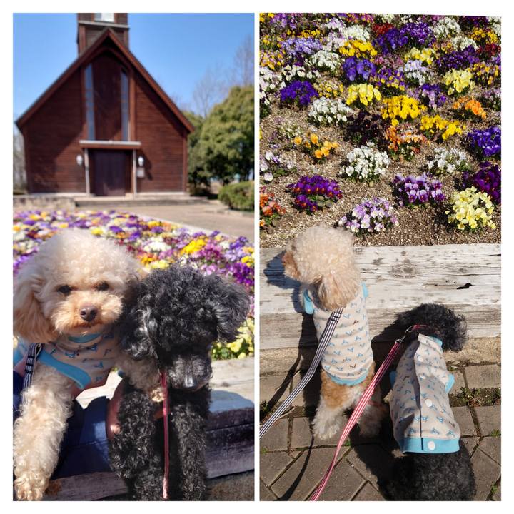 9c494dec 80ea 4097 a31f 12fe975e7d81 1774598232231