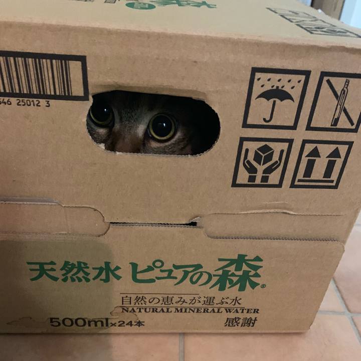 9c49580c 29a9 4b9a 9829 32c561e0d175 1568683936064