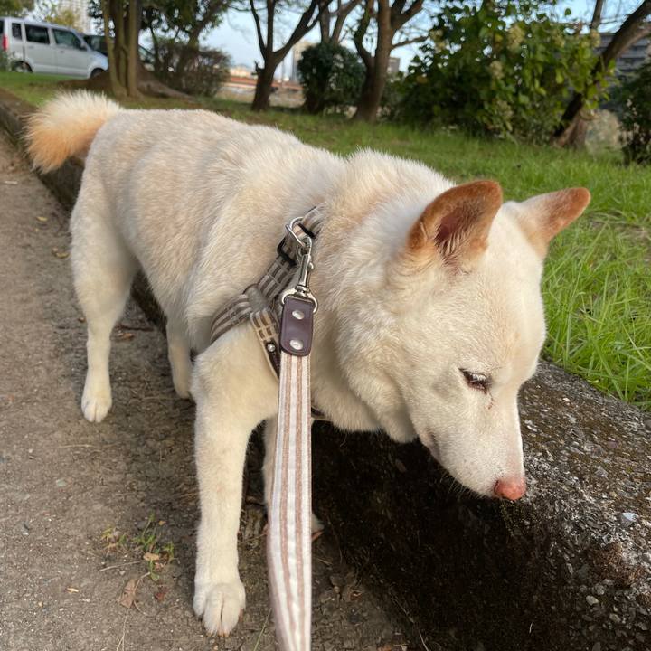 9c49aec7 f857 4e29 aa15 67733a5a5671 1634295341774