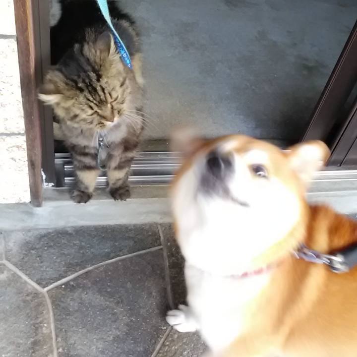 9c49b139 a79c 436c a9e7 ffe6d3bd3169 1627179624281