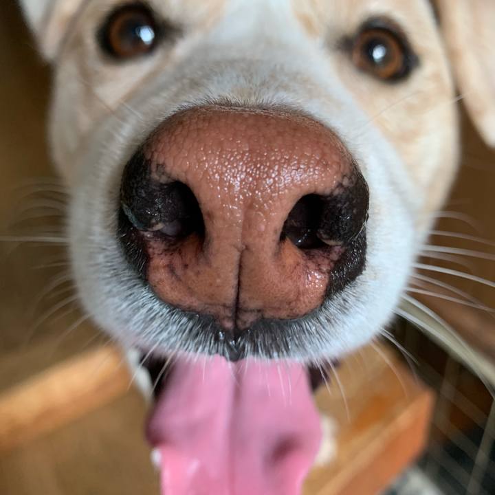 9c49df3d da1e 4ab5 8b40 ec3734d1cec0 1564616391441