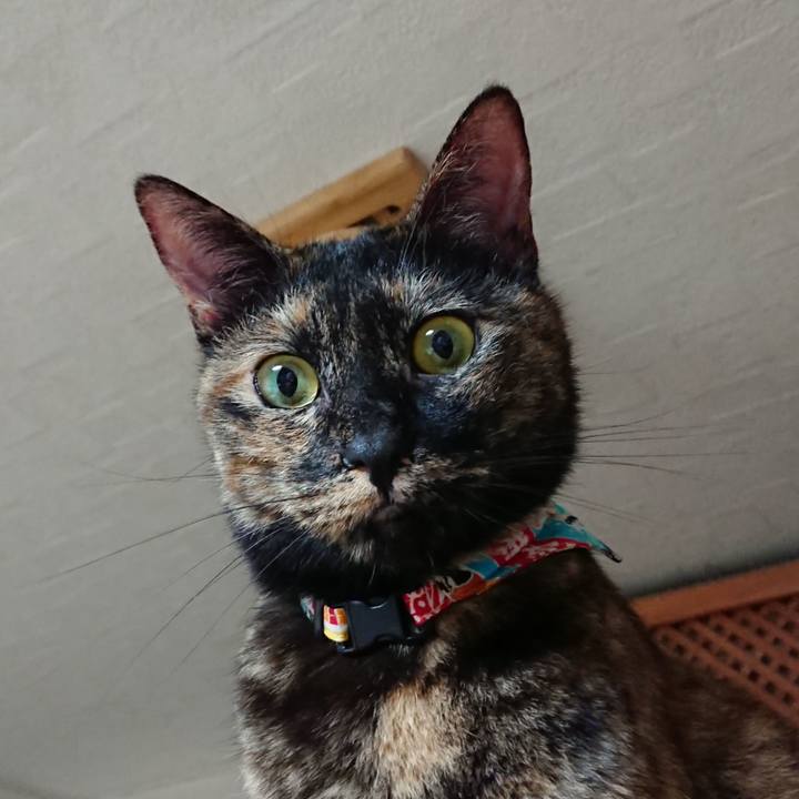 9c4a34a6 aa97 46da ad6f 2c9e2889faf1 1566734151083