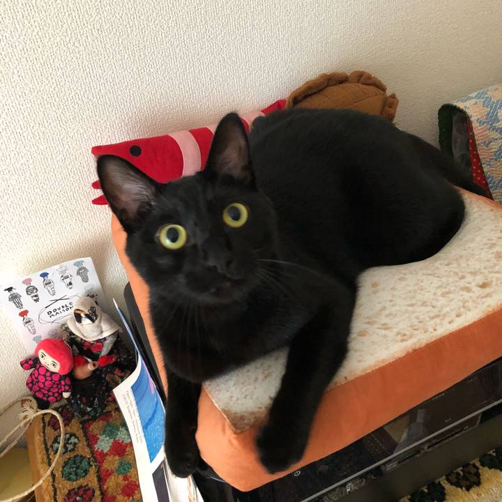 9c4a44c5 207a 43dc ab5b b4ae1dddbad4 1536839692947