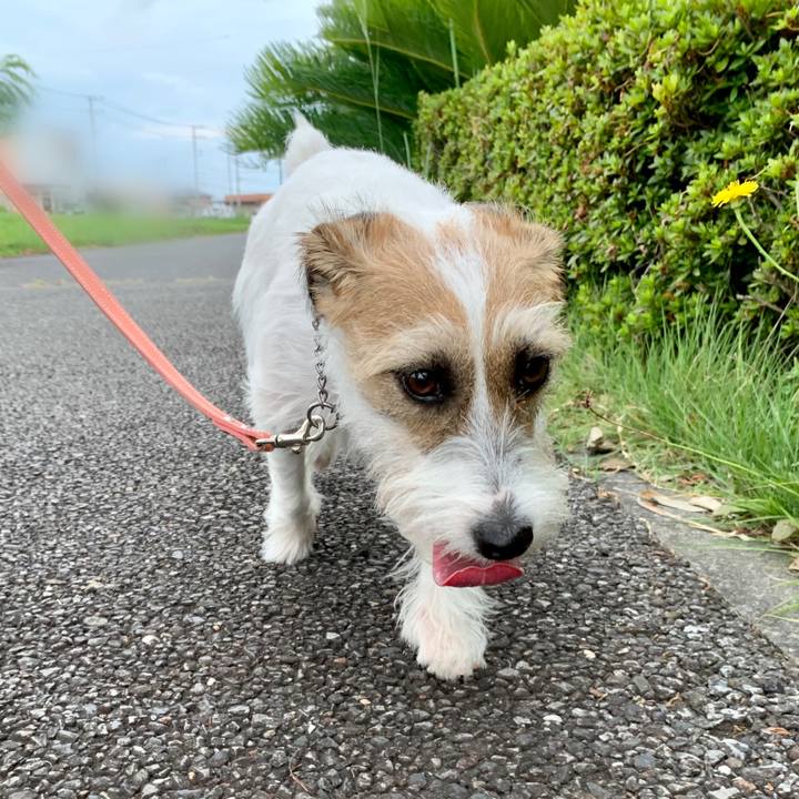 9c4a4b5e faca 471b b67c a6fbc2435c44 1627621291080