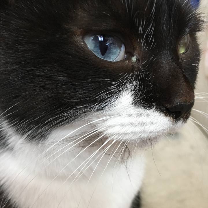 9c4a6d16 deb9 4ce6 8bfd 35c7e84b99bf 1522230276988