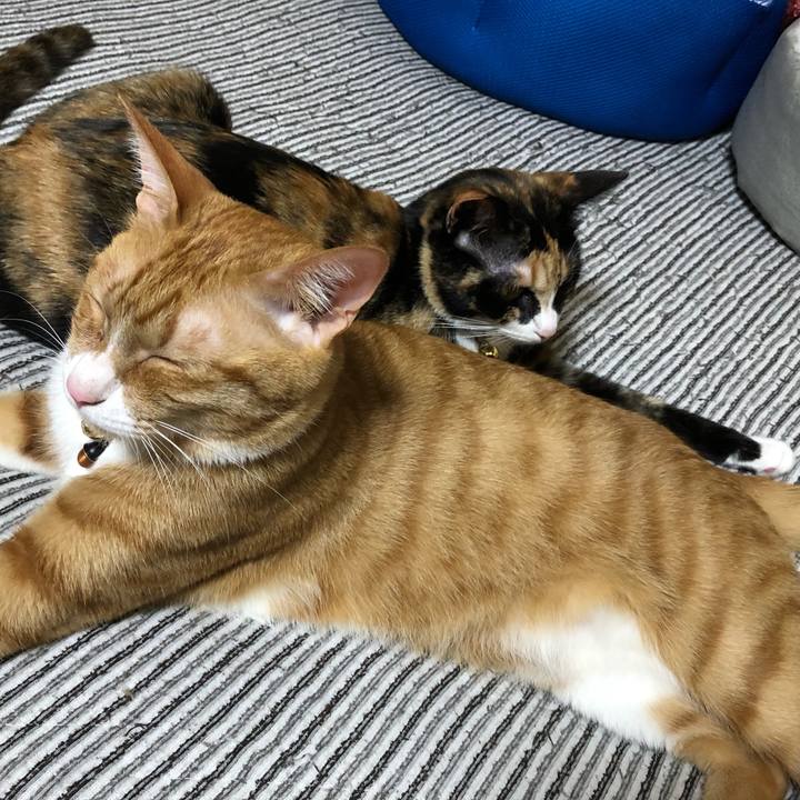 9c4a875e 67fc 4317 a856 13de412f071c 1570717878349