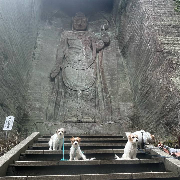 9c4ab38f 4c10 475e 964e beafc469e031 1774857196908