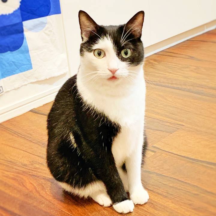 9c4abe71 8984 457f 83d6 a6e9a58a844c 1569365145363